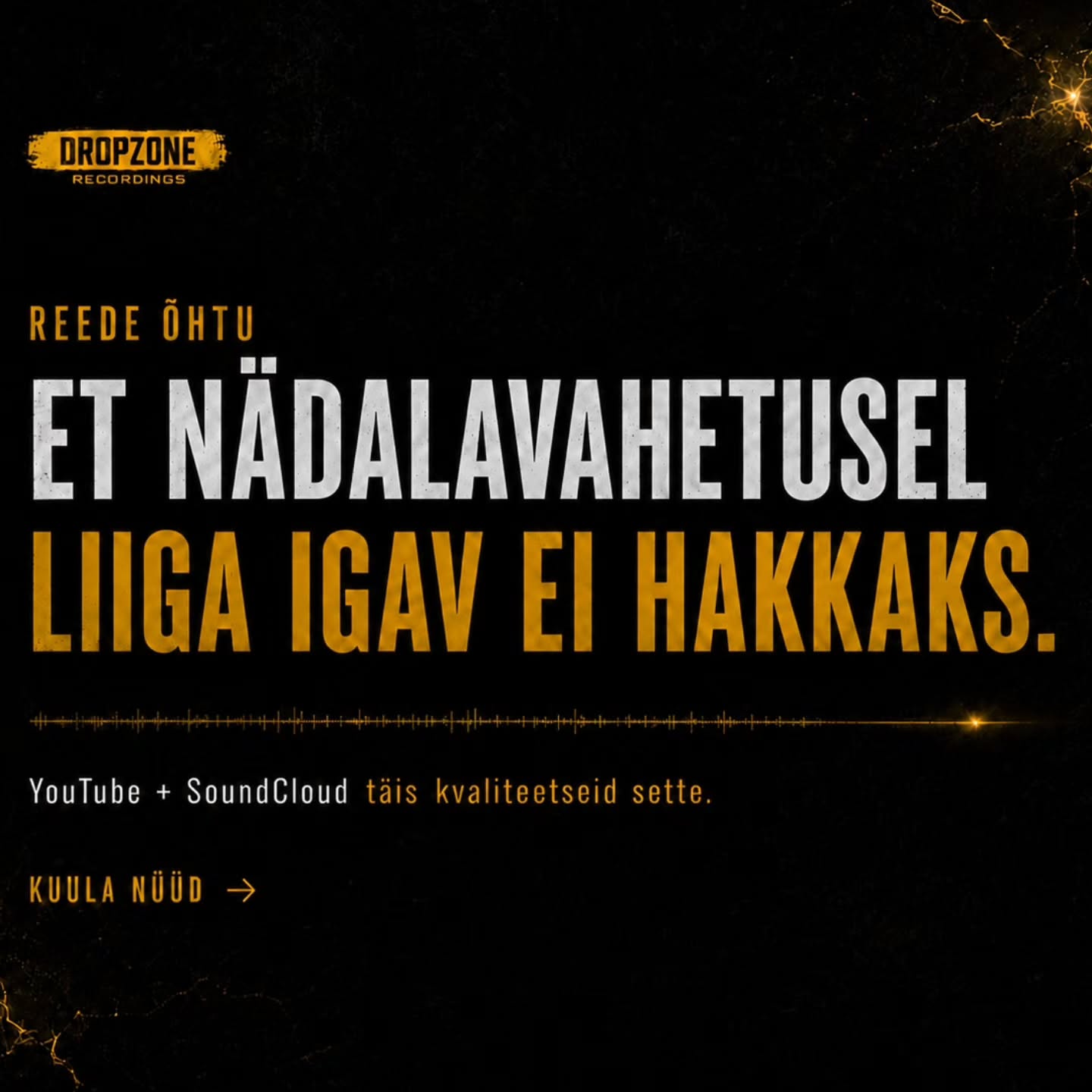 Et nädalavahetusel liiga igav ei hakkaks — YouTube ja SoundCloud on täis kvaliteetseid DZR sette.…